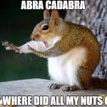 nope squirrel | ABRA CADABRA; HEY WHERE DID ALL MY NUTS GO? | image tagged in nope squirrel | made w/ Imgflip meme maker