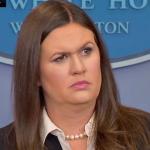 Sarah Huckabee meme