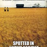 rural | CORE THREAT MEMBERS; SPOTTED IN NATIVE HABITAT | image tagged in rural | made w/ Imgflip meme maker