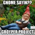 Thief gnome | GNOME SAYIN?? GROYPER PROJECT | image tagged in thief gnome | made w/ Imgflip meme maker