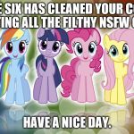 pony | THE MANE SIX HAS CLEANED YOUR COMPUTER BY DELETING ALL THE FILTHY NSFW CONTENT. HAVE A NICE DAY. | image tagged in pony | made w/ Imgflip meme maker