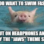 swim pig | IF YOU WANT TO SWIM FASTER; PUT ON HEADPHONES AND PLAY THE "JAWS" THEME SONG | image tagged in swim pig | made w/ Imgflip meme maker