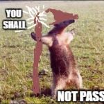 Ven pa aca | YOU SHALL; NOT PASS | image tagged in ven pa aca | made w/ Imgflip meme maker