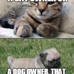 dog cat | IF A PERSON IS A CAT OWNER OR; A DOG OWNER, THAT TELLS YOU EVERYTHING YOU NEED TO KNOW | image tagged in dog cat | made w/ Imgflip meme maker