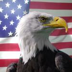 Bald Eagle with American Flag meme