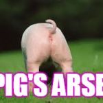 Pigs Arse | PIG'S ARSE. | image tagged in pigs arse | made w/ Imgflip meme maker