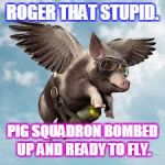 Pigs might fly | ROGER THAT STUPID. PIG SQUADRON BOMBED UP AND READY TO FLY. | image tagged in pigs might fly | made w/ Imgflip meme maker