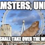 Giant Hamster Wheel | HAMSTERS, UNITE; WE SHALL TAKE OVER THE WORLD | image tagged in giant hamster wheel | made w/ Imgflip meme maker