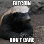 Honey badger | BITCOIN; DON’T CARE | image tagged in honey badger | made w/ Imgflip meme maker