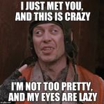 Call me maybe | I JUST MET YOU, AND THIS IS CRAZY; I'M NOT TOO PRETTY, AND MY EYES ARE LAZY | image tagged in call me maybe | made w/ Imgflip meme maker