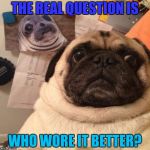 Funny Pug Meme | THE REAL QUESTION IS; WHO WORE IT BETTER? | image tagged in funny pug,meme,funny,pug | made w/ Imgflip meme maker