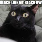 Stranger things  | I'M BLACK LIKE MY BLACK OWNER | image tagged in stranger things | made w/ Imgflip meme maker