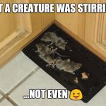 It's a trap | BIT A CREATURE WAS STIRRING; ...NOT EVEN 😜 | image tagged in it's a trap | made w/ Imgflip meme maker