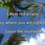 Just relax | Life is not a race. Enjoy where you are right now. Savor the moment. | image tagged in just relax | made w/ Imgflip meme maker