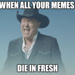 Big Enough | WHEN ALL YOUR MEMES; DIE IN FRESH | image tagged in big enough | made w/ Imgflip meme maker