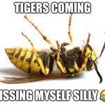 Wasp | TIGERS COMING; PISSING MYSELF SILLY 😂 | image tagged in wasp | made w/ Imgflip meme maker