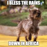 Toto Africa | I BLESS THE RAINS; DOWN IN AFRICA | image tagged in toto africa,africa,rains,bless the rains | made w/ Imgflip meme maker