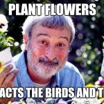 Don Burke | PLANT FLOWERS; IT ATTRACTS THE BIRDS AND THE BEES | image tagged in don burke | made w/ Imgflip meme maker