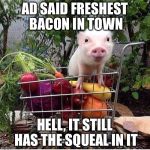 baby pig please do not eat bacon | AD SAID FRESHEST BACON IN TOWN; HELL, IT STILL HAS THE SQUEAL IN IT | image tagged in baby pig please do not eat bacon | made w/ Imgflip meme maker