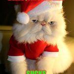 Santa Grumpy Cat | JINGLE BELLS , JINGLE BELLS , JINGLE BELLS; SUCKS | image tagged in santa grumpy cat | made w/ Imgflip meme maker