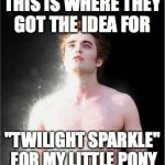 twilight | THIS IS WHERE THEY GOT THE IDEA FOR; "TWILIGHT SPARKLE" FOR MY LITTLE PONY | image tagged in twilight | made w/ Imgflip meme maker