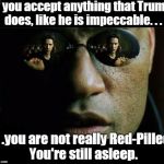 It takes more than the label "Conservative" or "Right" and being against leftism to be Red-Pilled. | If you accept anything that Trump does, like he is impeccable. . . . . .you are not really Red-Pilled. You're still asleep. | image tagged in memes,morpheus wiki,red pill,conservative,leftist,trump | made w/ Imgflip meme maker