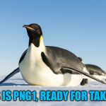 Sliding Penguin | THIS IS PNG1, READY FOR TAKEOFF | image tagged in sliding penguin,americanpenguin | made w/ Imgflip meme maker