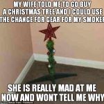 christmas tree | MY WIFE TOLD ME TO GO BUY A CHRISTMAS TREE AND I COULD USE THE CHANGE FOR GEAR FOR MY SMOKER; SHE IS REALLY MAD AT ME NOW AND WONT TELL ME WHY | image tagged in christmas tree | made w/ Imgflip meme maker