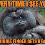 Middle Finger Monkey | EVERY TIME I SEE YOU; MY MIDDLE FINGER GETS A BONER | image tagged in middle finger monkey,memes,what if i told you | made w/ Imgflip meme maker