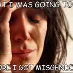 Crying women | WHAT I WAS GOING TO SAY; BEFORE I GOT MISGENDERED | image tagged in crying women | made w/ Imgflip meme maker