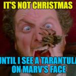 Or until Gus Polinski polka king of the Midwest comes to the rescue... :) | IT'S NOT CHRISTMAS; UNTIL I SEE A TARANTULA ON MARV'S FACE | image tagged in home alone marv spider,memes,christmas,home alone,movies,wet bandits | made w/ Imgflip meme maker