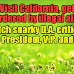 green background | Visit California, get murdered by illegal alien. Watch snarky D.A. criticize the President, V.P. and A.G. | image tagged in green background | made w/ Imgflip meme maker