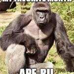 Ape | MY FAVORITE MONTH; APE-RIL | image tagged in ape | made w/ Imgflip meme maker