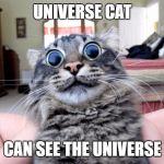 Universe cat | UNIVERSE CAT; CAN SEE THE UNIVERSE | image tagged in universe cat,nipped,lolol | made w/ Imgflip meme maker