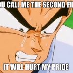 Vegeta Crying | IF YOU CALL ME THE SECOND FIDDLE; IT WILL HURT MY PRIDE | image tagged in vegeta crying | made w/ Imgflip meme maker