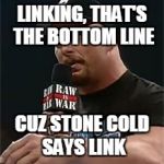Stone cold  | LINKING, THAT'S THE BOTTOM LINE; CUZ STONE COLD SAYS LINK | image tagged in stone cold | made w/ Imgflip meme maker