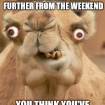 camel | WEDNESDAY IS HUMP DAY.MID WEEK. NEVER FURTHER FROM THE WEEKEND; YOU THINK YOU'VE GOT PROBLEMS! | image tagged in camel | made w/ Imgflip meme maker