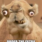 camel | NEVER NEVER NEVER; ORDER THE EXTRA HOT CURRY! | image tagged in camel | made w/ Imgflip meme maker