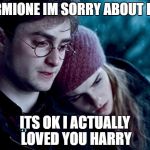 Harry Potter and Hermione Granger | HERMIONE IM SORRY ABOUT RON; ITS OK I ACTUALLY LOVED YOU HARRY | image tagged in harry potter and hermione granger | made w/ Imgflip meme maker