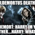 Harry Potter Wands | VOLDEMORTUS DEATHUS; VOLDEMORT: HARRY IM YOUR FATHER....HARRY:
WHAT!?! | image tagged in harry potter wands | made w/ Imgflip meme maker