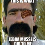 Moustache | THIS IS WHAT; ZEBRA MUSSELS DID TO ME | image tagged in moustache,scumbag | made w/ Imgflip meme maker