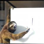 Geico Sloth meme