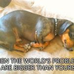depressed dog | WHEN THE WORLD'S PROBLEMS ARE BIGGER THAN YOURS | image tagged in depressed dog | made w/ Imgflip meme maker