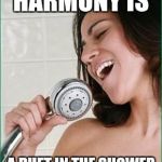 singing in the shower | HARMONY IS; A DUET IN THE SHOWER | image tagged in singing in the shower | made w/ Imgflip meme maker