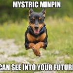 Mystic Min pin | MYSTRIC MINPIN; CAN SEE INTO YOUR FUTURE | image tagged in mystic min pin | made w/ Imgflip meme maker
