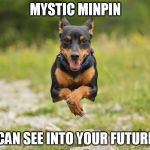 Mystic Min pin | MYSTIC MINPIN; CAN SEE INTO YOUR FUTURE | image tagged in mystic min pin | made w/ Imgflip meme maker