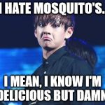Dat BTS Sass Tho | I HATE MOSQUITO'S.. I MEAN, I KNOW I'M DELICIOUS BUT DAMN! | image tagged in dat bts sass tho | made w/ Imgflip meme maker