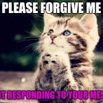 Cute Kitty | PLEASE FORGIVE ME; FOR NOT RESPONDING TO YOUR MESSAGES | image tagged in cute kitty | made w/ Imgflip meme maker