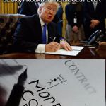 Trump ah doodle doo | YOU WANT SIGNED PAPERS WE'RE GONNA GIVE YOU PAPERS LIKE YOU'VE NEVER SEEN IT'S GONNA BE BIG, PROBABLY THE BIGGEST EVER | image tagged in trump doodle,trump,meme,leftwing,rightwing,president | made w/ Imgflip meme maker
