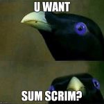 you want sum fuk | U WANT; SUM SCRIM? | image tagged in you want sum fuk | made w/ Imgflip meme maker